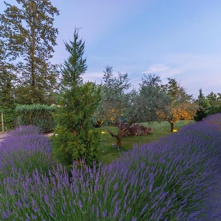 Villa Kate Istria Žminj Eksteriør bilde