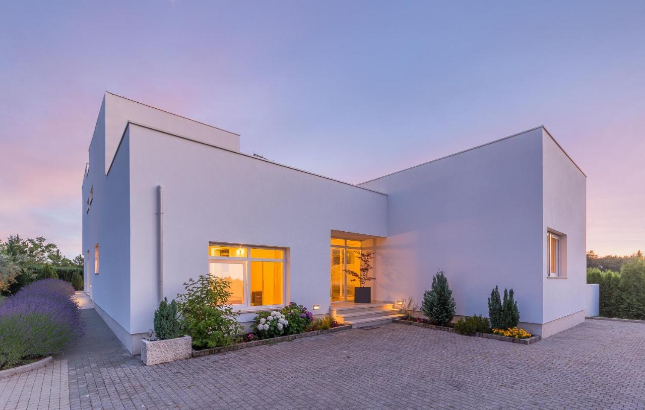 Villa Kate Istria Žminj Eksteriør bilde